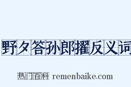 野夕答孙郎擢反义词是什么意思的图片